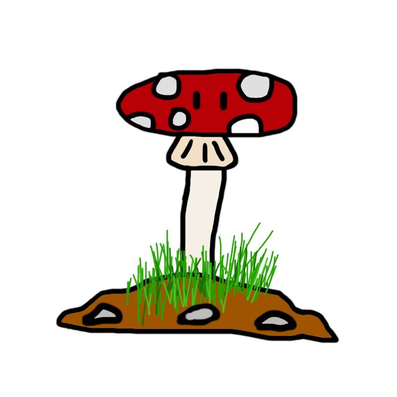 Zwoom Zwoom